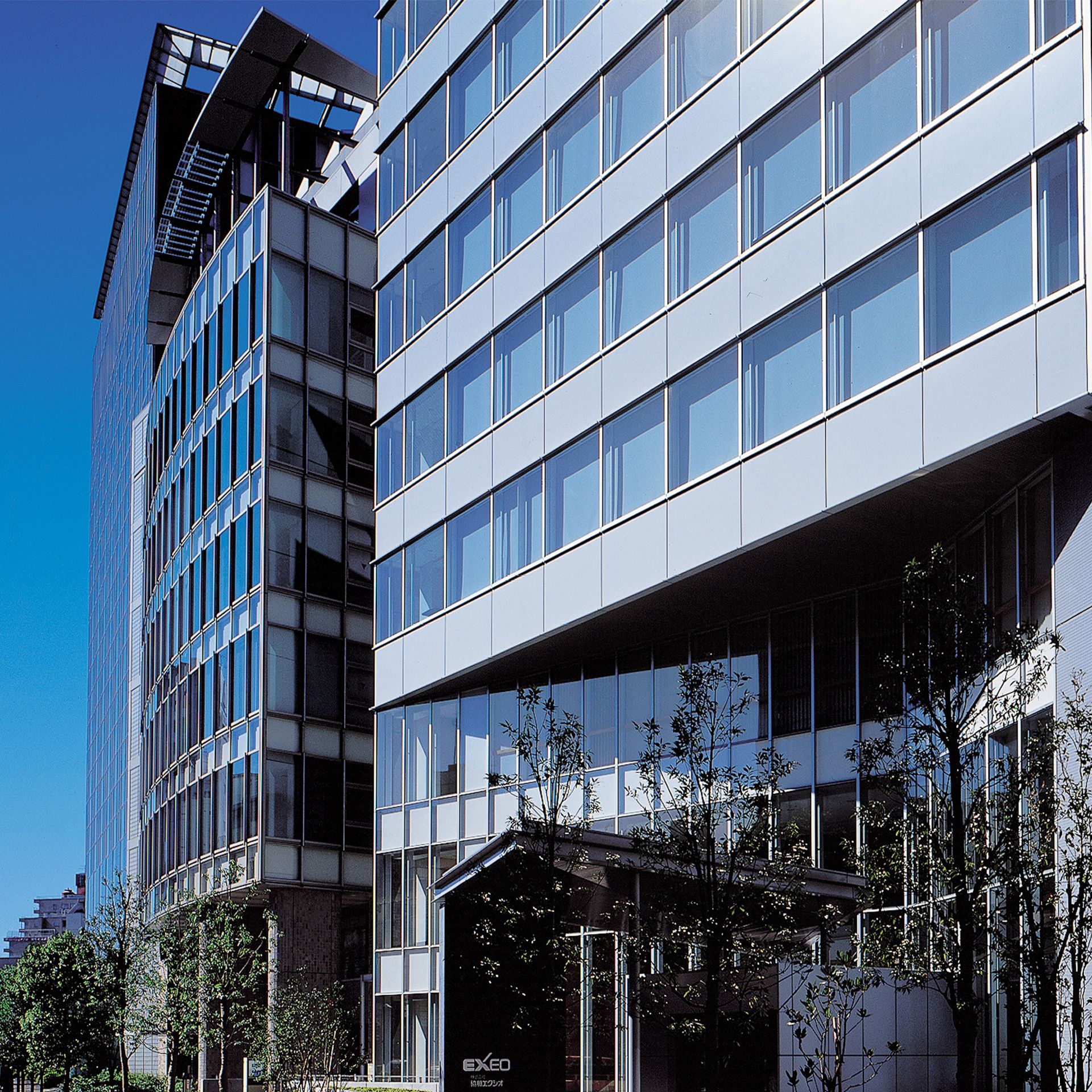 Optivision 15 深色/抗曬專家